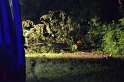 Sturm Radfahrer vom Baum erschlagen Koeln Flittard Duesseldorferstr P34